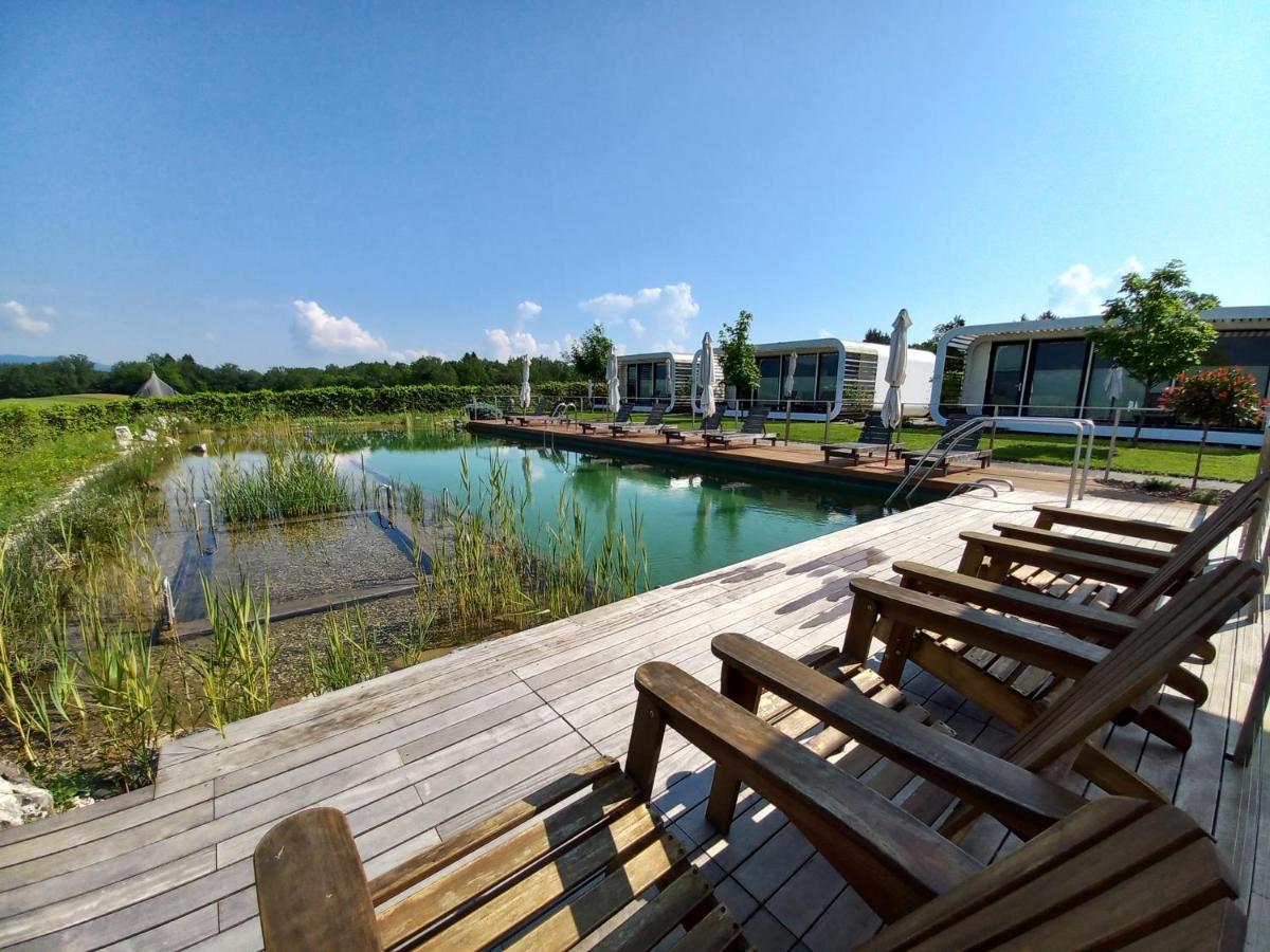 Glamping Maleric With Natural Pool Dragatus ภายนอก รูปภาพ